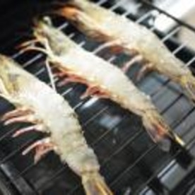 ぱぱっと簡単 グリルでエビの塩焼き レシピ 作り方 By Dear Rose店長やまぐち 楽天レシピ ぱぱっと簡単 グリルでエビの塩焼き レシピ 作り方 By Dear Rose店長やまぐち 楽天レシピ